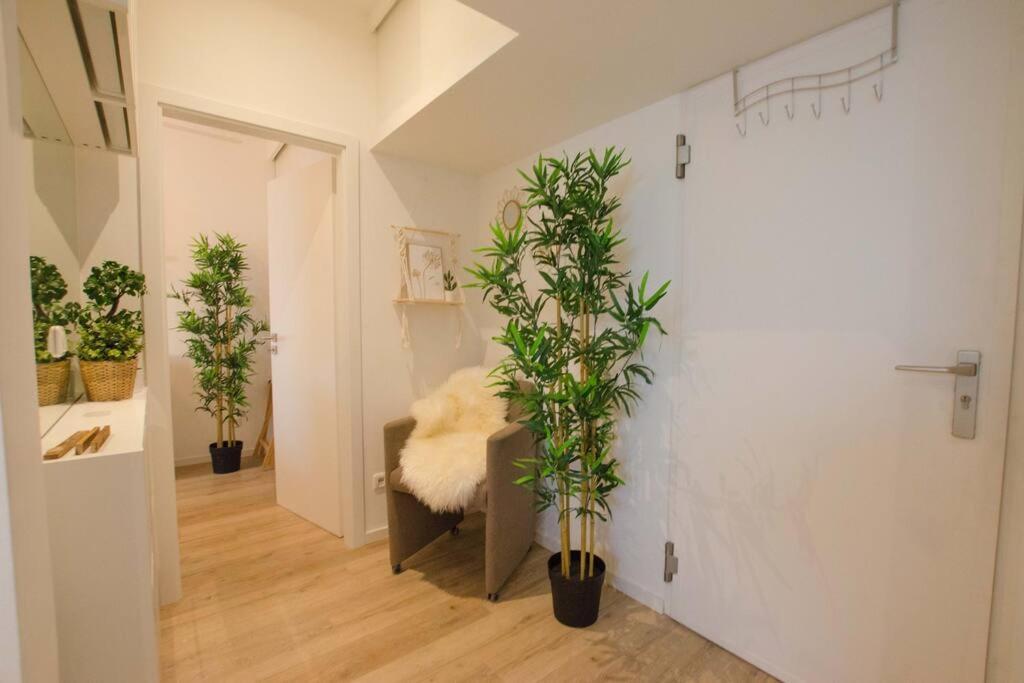 Casarina - Gemuetliches Apartment Im Zentrum Aψβούργη Εξωτερικό φωτογραφία