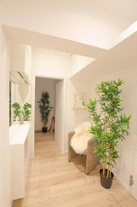 Casarina - Gemuetliches Apartment Im Zentrum Aψβούργη Εξωτερικό φωτογραφία